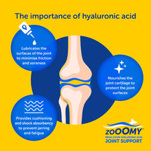 Load image into Gallery viewer, Zooomy Hyaluronic Acid Joint Care for Dogs
