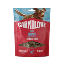 Load image into Gallery viewer, NEW TROUT ENRICHED WITH DILL SOFT DOG TREATS 200g
