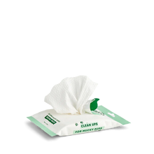Load image into Gallery viewer, Beco Bamboo Dog Wipes
