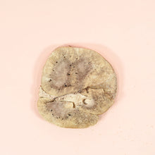 Load image into Gallery viewer, Waita Freeze Dried Beef Kidney 50g

