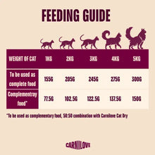 Load image into Gallery viewer, NEW TURKEY &amp; REINDEER CAN PATÉ FOR CATS 100g
