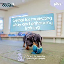 Load image into Gallery viewer, Coachi Puppy &amp; Mini Chase &amp; Treat
