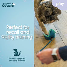 Load image into Gallery viewer, Coachi Puppy &amp; Mini Chase &amp; Treat

