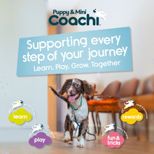 Load image into Gallery viewer, Coachi Puppy &amp; Mini Chase &amp; Treat
