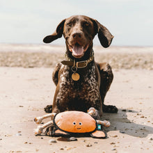 Load image into Gallery viewer, Beco Plush Crab Dog Toy
