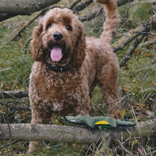Load image into Gallery viewer, Beco Plush Crocodile Dog Toy
