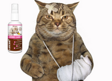 Load image into Gallery viewer, LUCAA+ Pet Probiotic Dermo (Wound) Care - 100ml Spray
