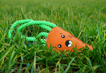Load image into Gallery viewer, Carrot XL Dog and Horse Eco Toy
