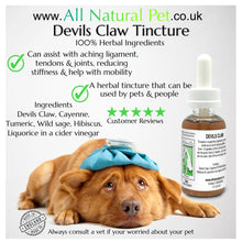 Load image into Gallery viewer, Devils Claw 100ml
