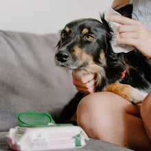 Load image into Gallery viewer, Dog Ear Cleaning Wipes
