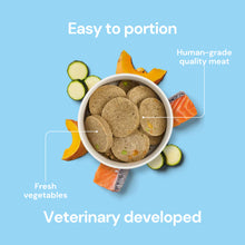 Load image into Gallery viewer, Nutriment Salmon, Pumpkin &amp; Courette Gently Cooked Medallions 800g
