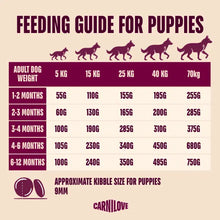 Load image into Gallery viewer, NEW ACTIVE SALMON &amp; TURKEY PUPPY FOOD
