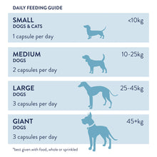 Load image into Gallery viewer, Probiotic Plus for Dogs
