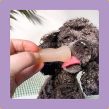 Load image into Gallery viewer, Axels Elixir Festive Turkey Happy Bones (FROZEN)

