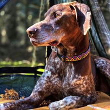 Load image into Gallery viewer, Go-Cee | Dog Collar | Cosmos
