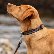 Load image into Gallery viewer, Go-Cee | Dog Collar | Erysimum
