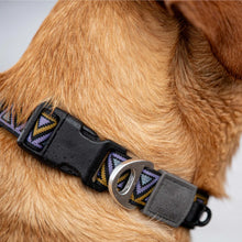 Load image into Gallery viewer, Go-Cee | Dog Collar | Erysimum
