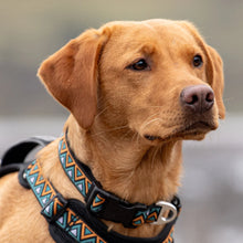 Load image into Gallery viewer, Go-Cee | Dog Collar | Hollyhock
