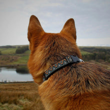 Load image into Gallery viewer, Go-Cee | Dog Collar | Hollyhock
