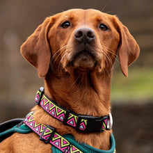Load image into Gallery viewer, Go-Cee | Dog Collar | Lantana
