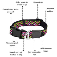 Load image into Gallery viewer, Go-Cee | Dog Collar | Lantana
