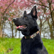 Load image into Gallery viewer, Go-Cee | Dog Collar | Lantana
