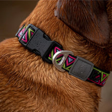 Load image into Gallery viewer, Go-Cee | Dog Collar | Lantana
