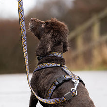 Load image into Gallery viewer, Go-Cee | Dog Lead | Erysimum
