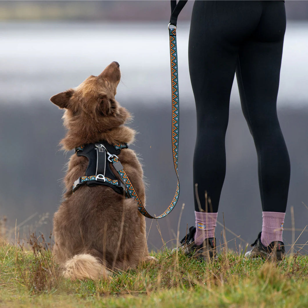 Go-Cee | Dog Lead | Hollyhock