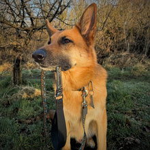 Load image into Gallery viewer, Go-Cee | Dog Lead | Hollyhock
