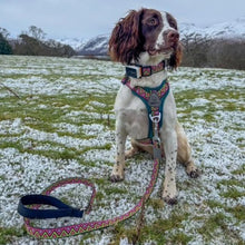 Load image into Gallery viewer, Go-Cee | Dog Lead | Lantana
