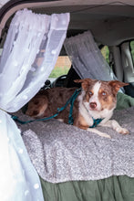Load image into Gallery viewer, Headrest Seat Belt

