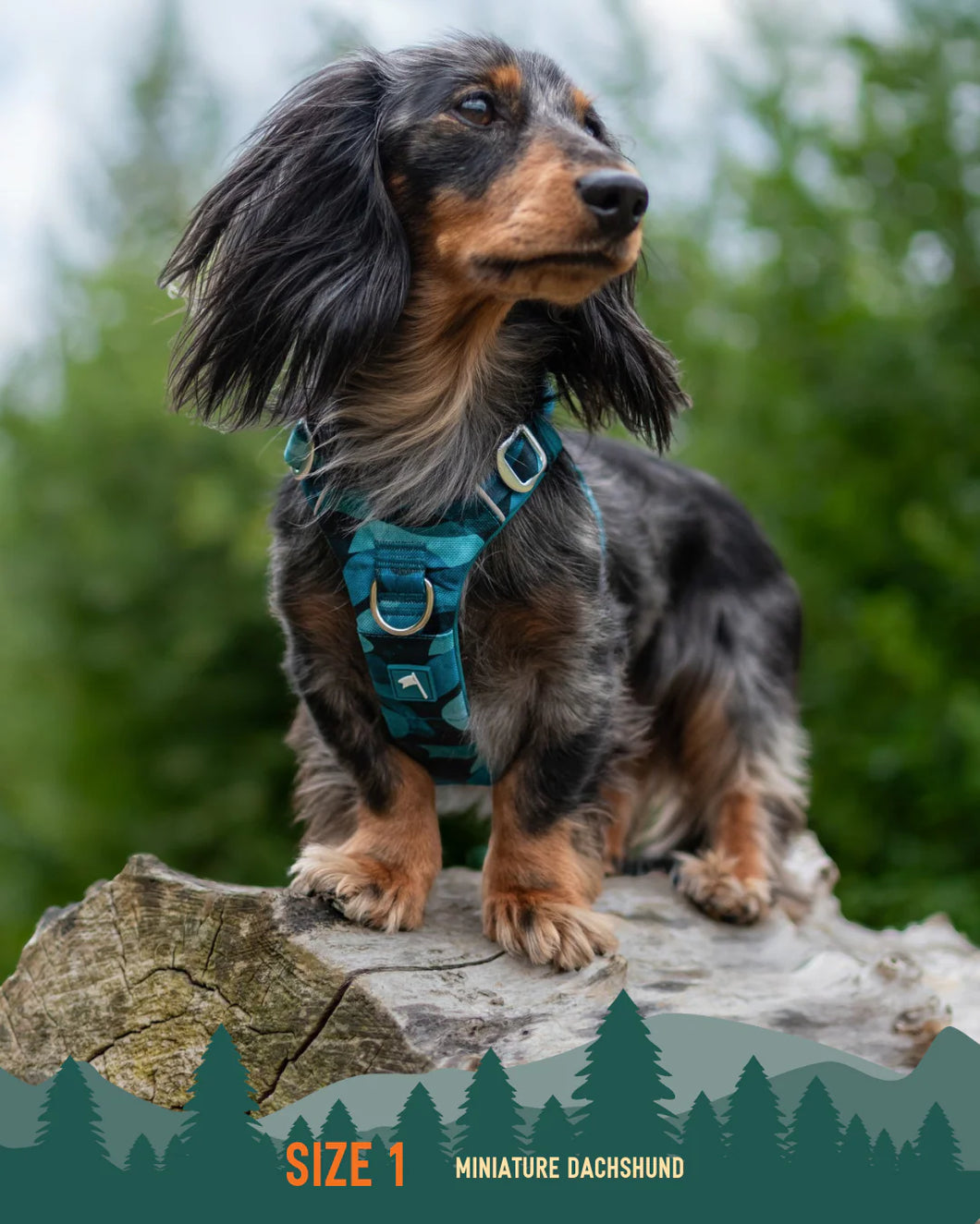 Adventure Harness 2.0 - Lagoon