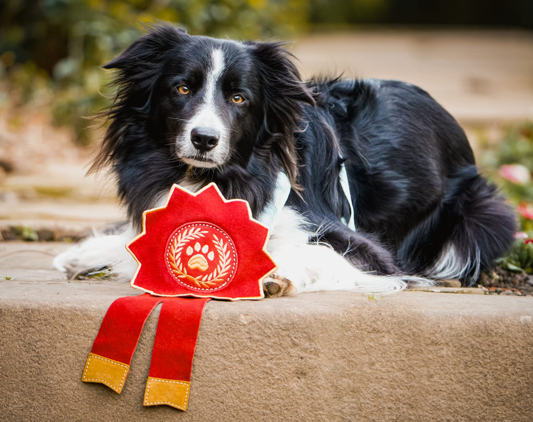 Everyone's a winner Rosette Eco Dog Toy