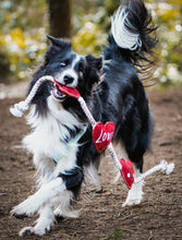 Load image into Gallery viewer, Heart shaped Eco Dog Toy (Heart strings)
