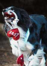 Load image into Gallery viewer, Heart shaped Eco Dog Toy (Heart strings)
