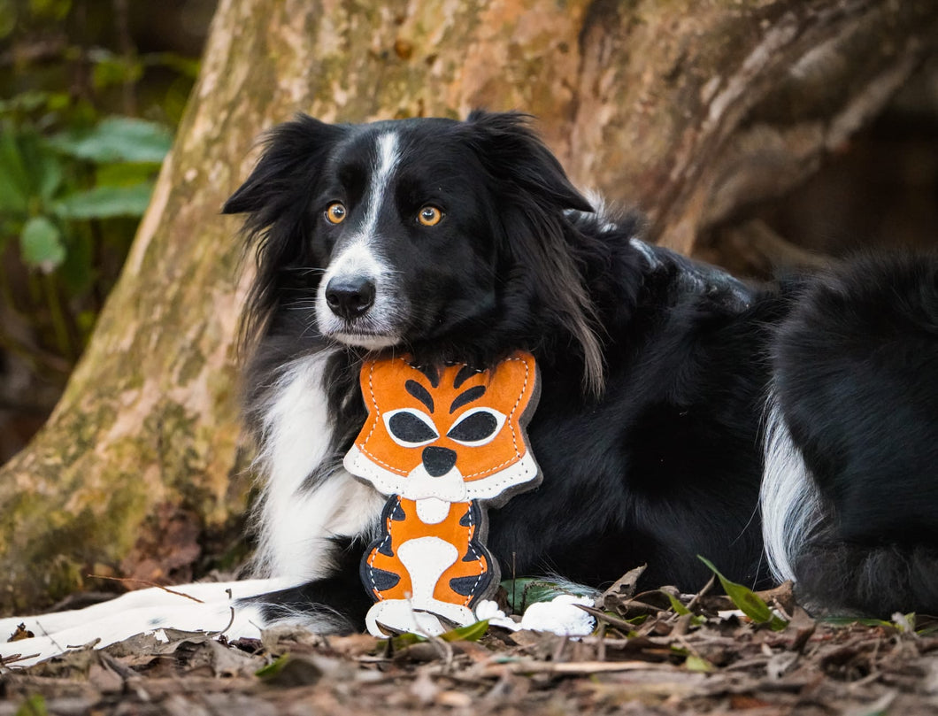 Tina the Tiger shaped Tough Eco Dog Toy (Copy)