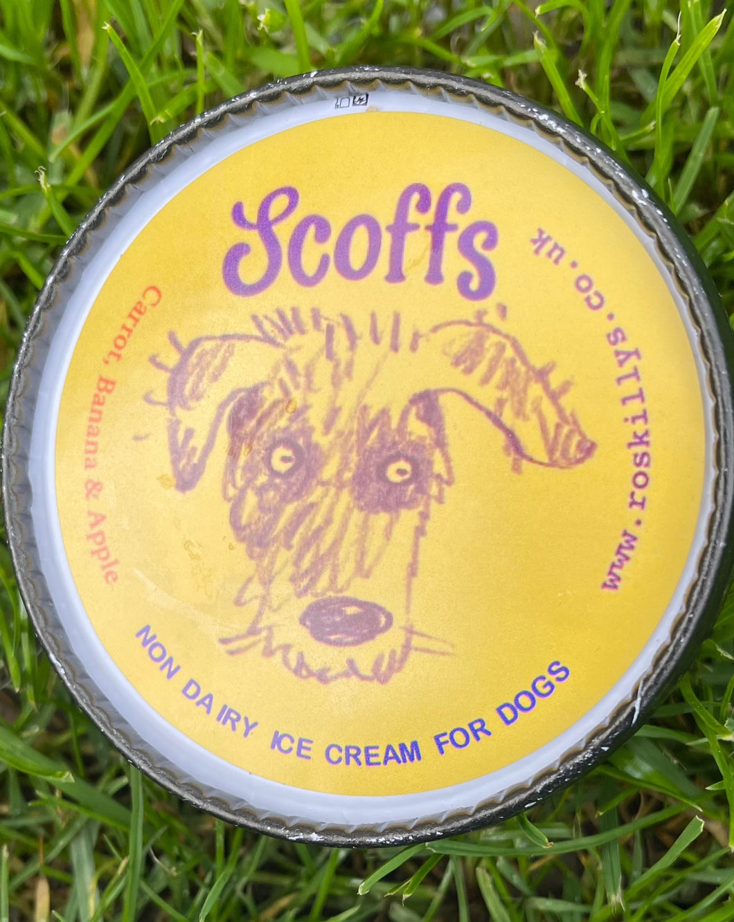 Scoffs Carrot Banana Apple Non Dairy Dog Ice Cream 120ml