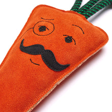 Load image into Gallery viewer, Inspector Chantenay, Eco Horse &amp; Dog Toy
