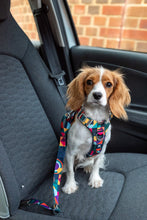 Load image into Gallery viewer, ISOFIX Seat Belt
