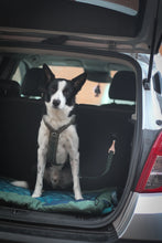 Load image into Gallery viewer, ISOFIX Seat Belt
