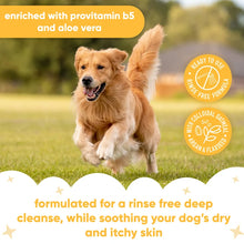 Load image into Gallery viewer, Itch Relief Moisturising Waterless Dry Dog Shampoo 200ml
