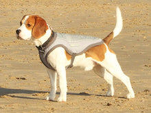Load image into Gallery viewer, Dog Cooling Vest - ClimaCOOL Jacket
