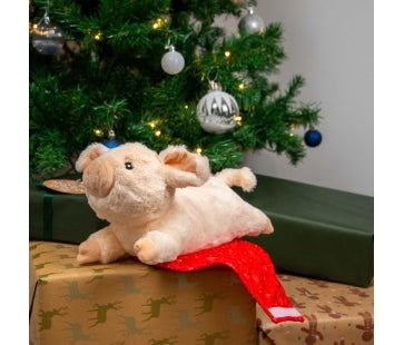 Ancol - Paloma Pig in Blanket