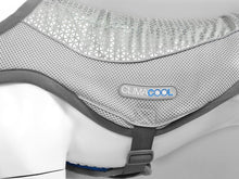 Load image into Gallery viewer, Dog Cooling Vest - ClimaCOOL Jacket
