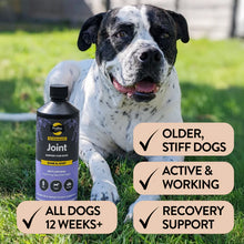 Load image into Gallery viewer, Bone, Joint &amp; Mobility Support for Dogs 500ml
