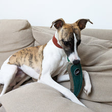 Load image into Gallery viewer, Juan the Jalapeno, Eco Dog Toy
