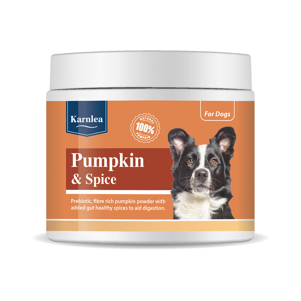 Karnlea Pumpkin & Spice Powder Topper for Dogs 200g