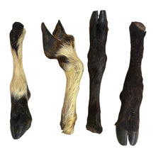 Load image into Gallery viewer, Hairy Lamb Legs
