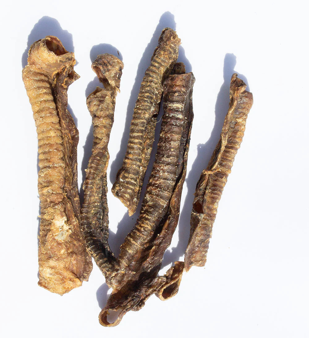 Lamb Trachea Air Dried 1 piece